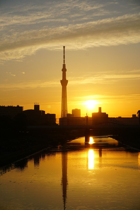 夕暮れのスカイツリー