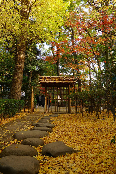 大田黒公園の紅葉