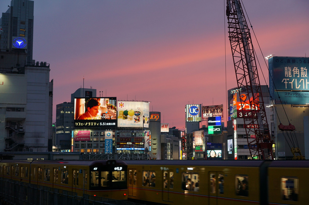 夕焼けの渋谷