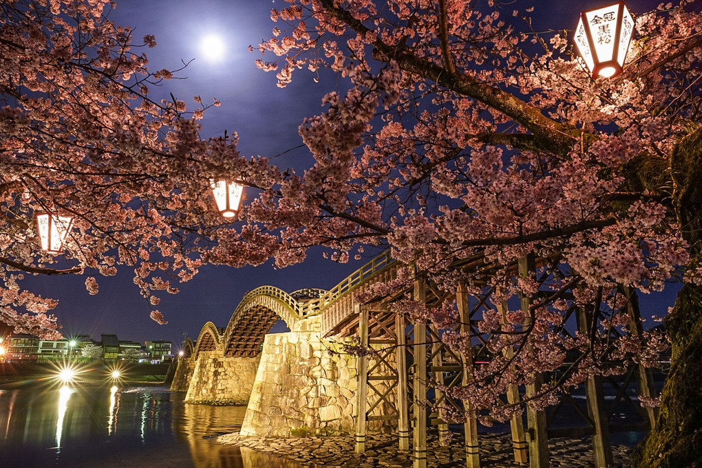 月夜の桜と錦帯橋