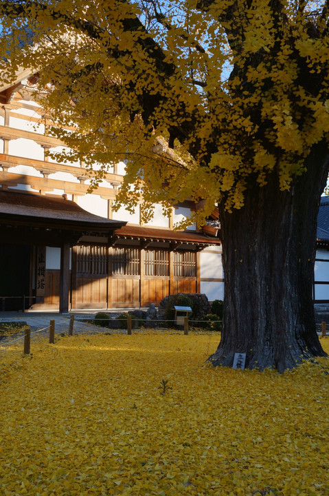 永保寺