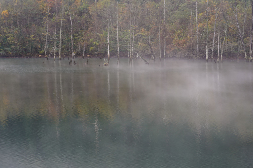 朝霧の自然湖