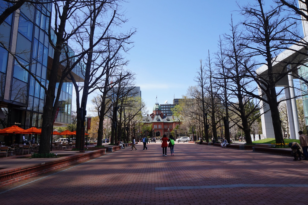 北海道庁旧本庁舎（赤れんが庁舎）散歩♪