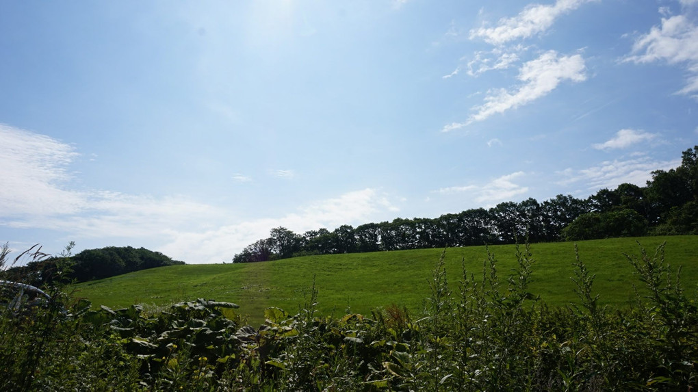 心の故郷　2019夏