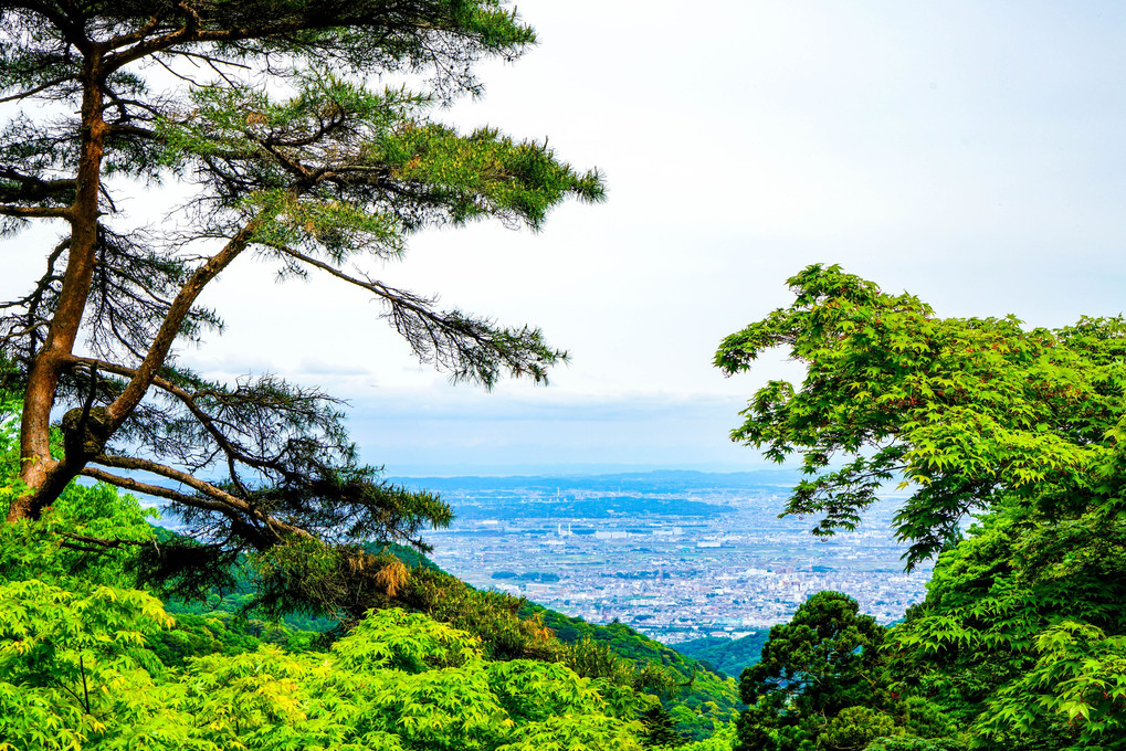 大山寺からの眺め