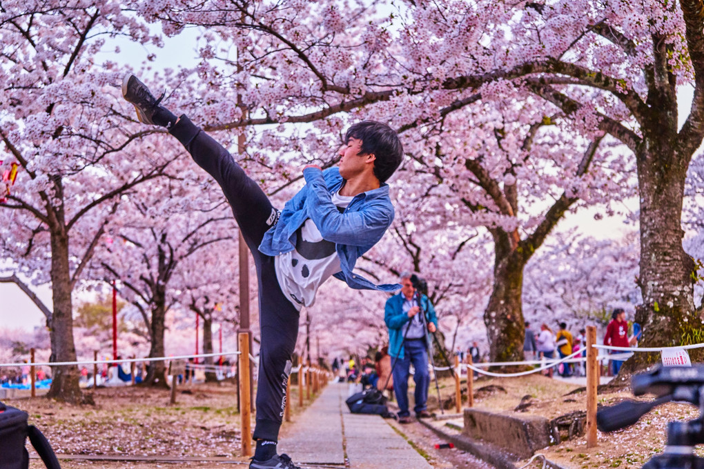 Cherry Blossom "Round Kick"