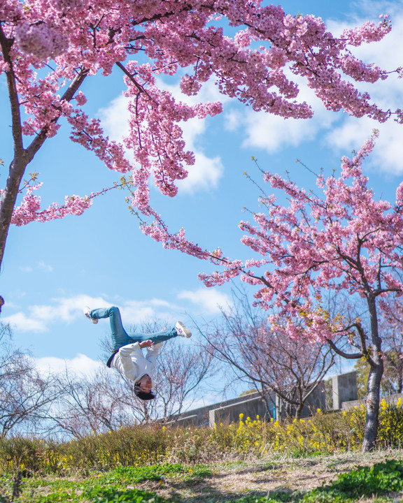 河津桜 -Tricking self-portrait-