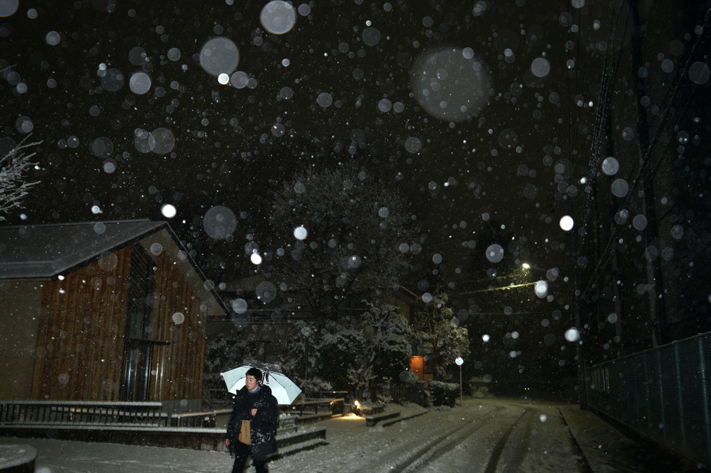 雪降る夜道