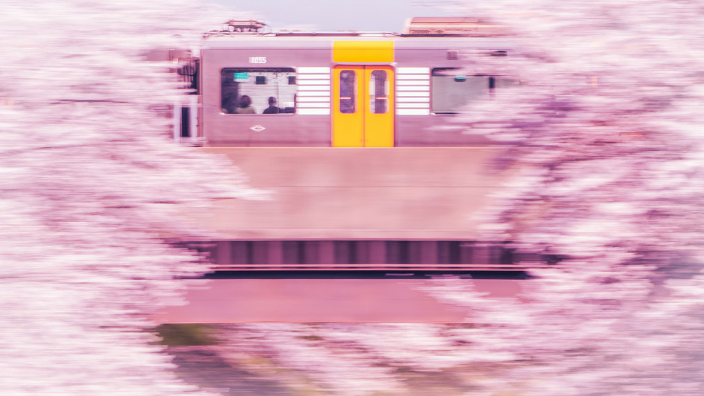 桜電車 #カレンダー2024