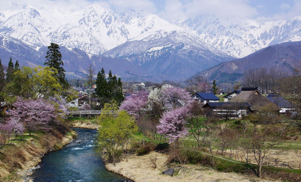 白馬吊り橋の春景色