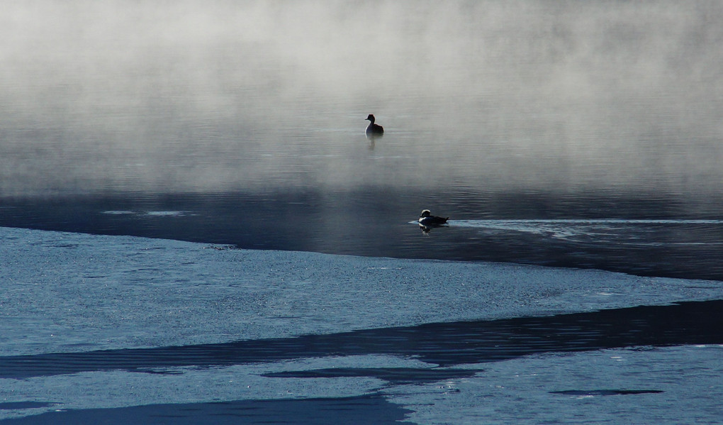 寒い朝　諏訪湖（１）