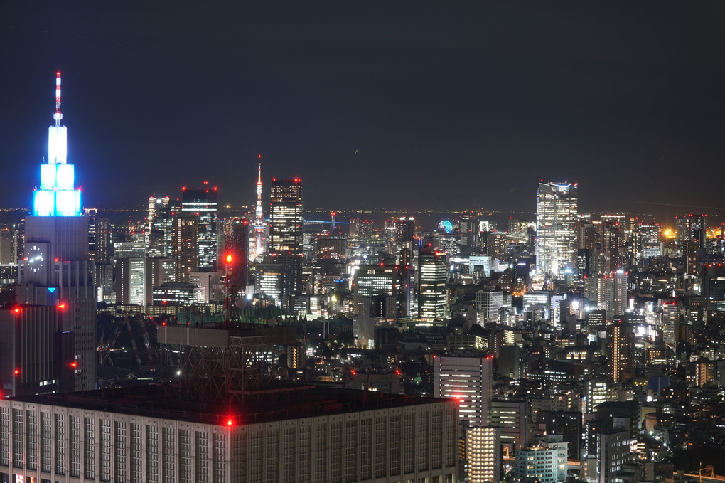 都庁からの夜景