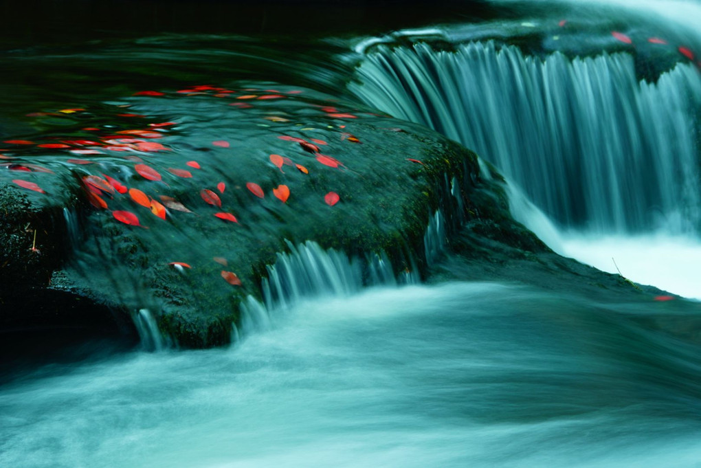 川の流れと赤い葉