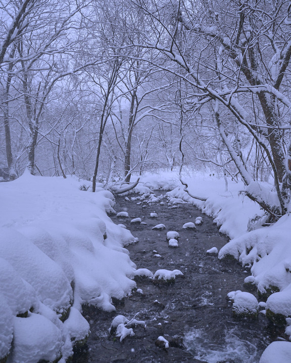 雪の木谷沢渓流