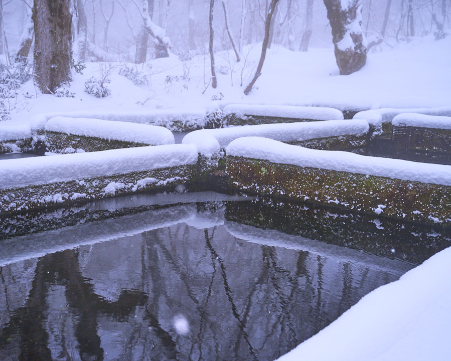 雪の木谷沢渓流