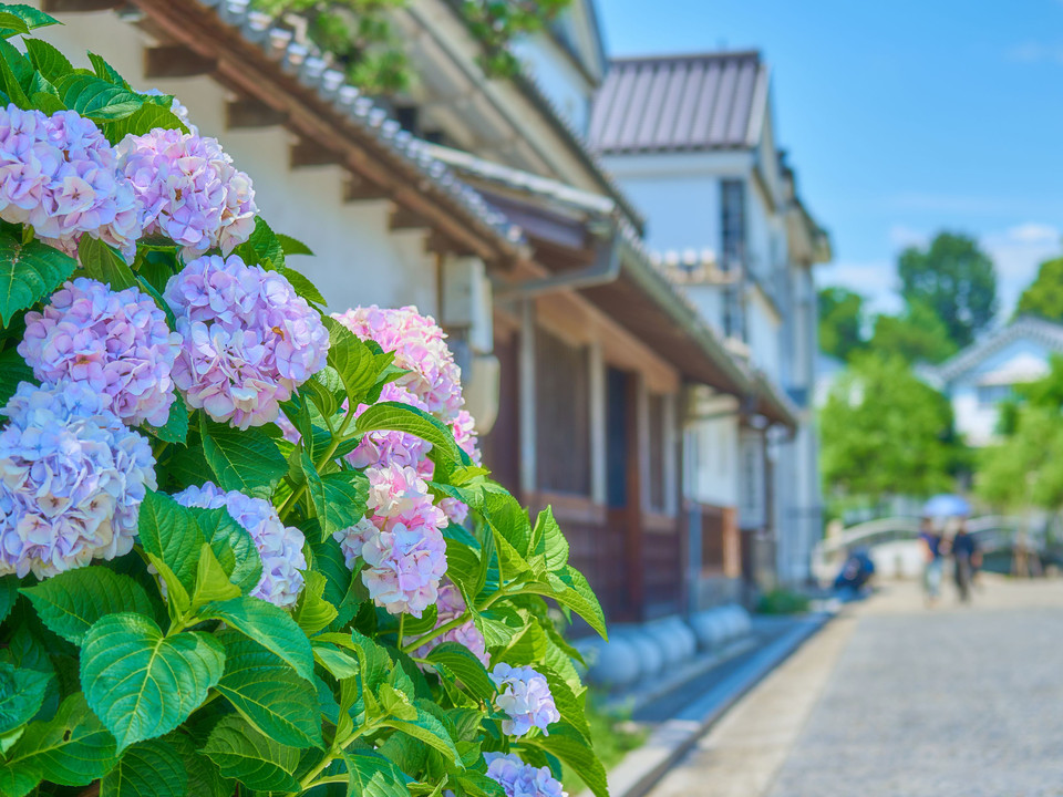 初夏の倉敷