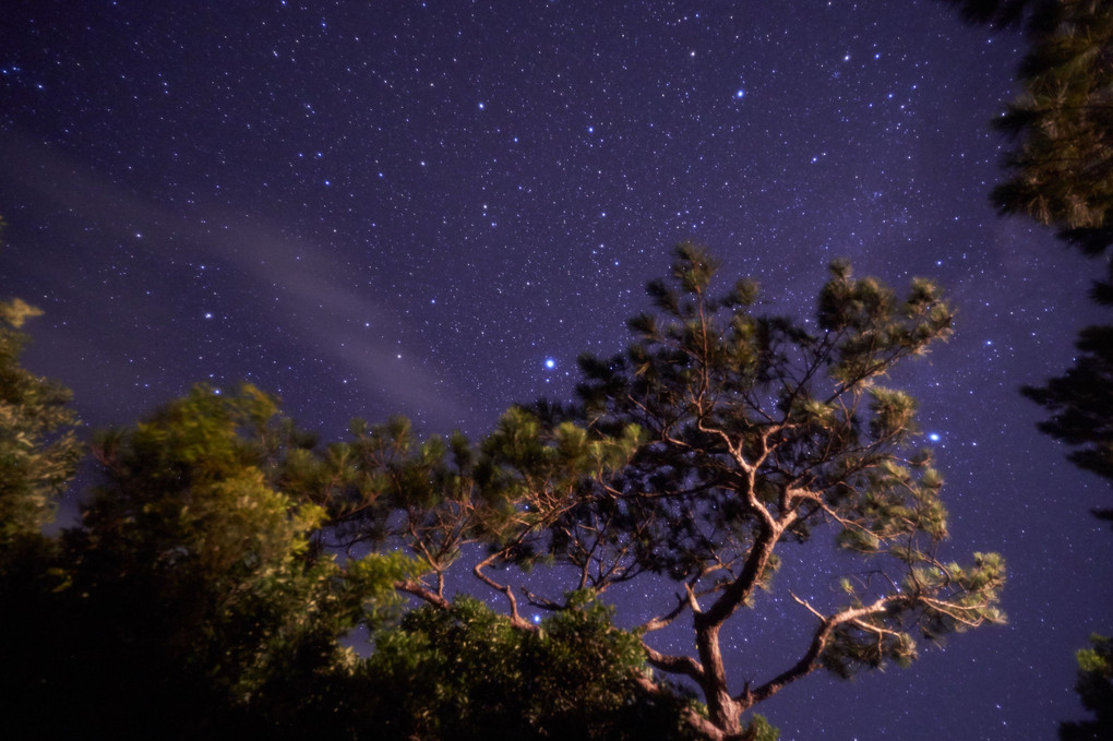 南の島で見た星空