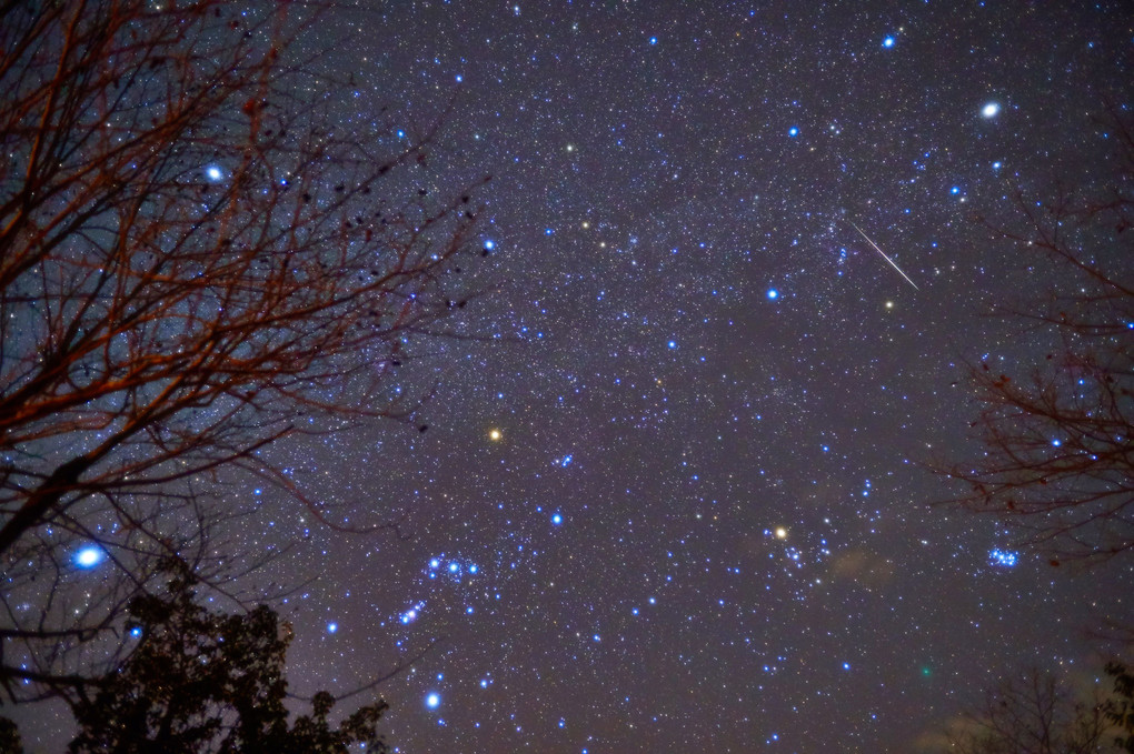 ウィルタネン彗星とふたご座流星群
