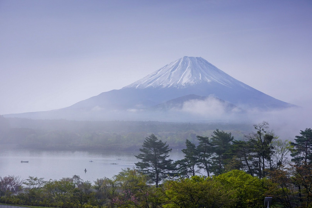 精進湖で見た富士山