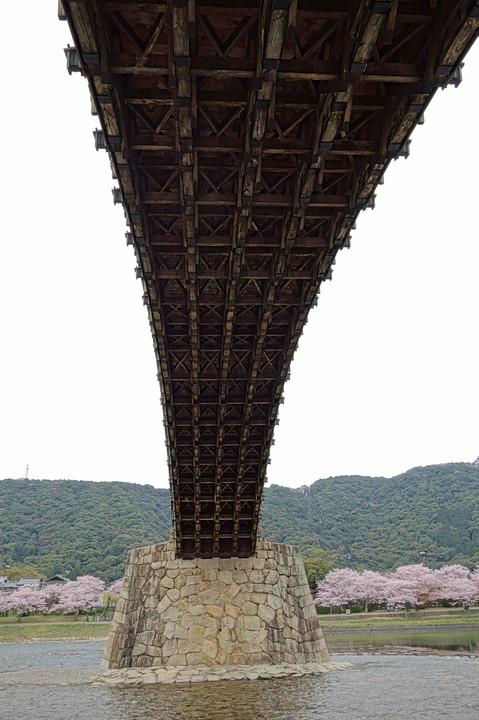 錦帯橋。
