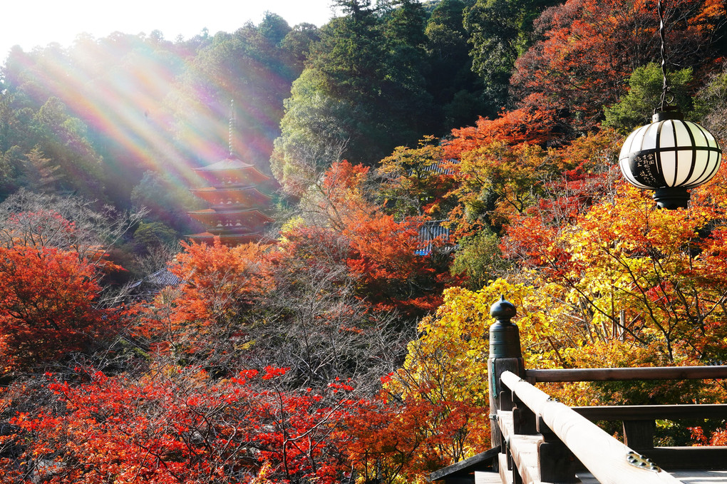 　祈り ――秋深き長谷寺――