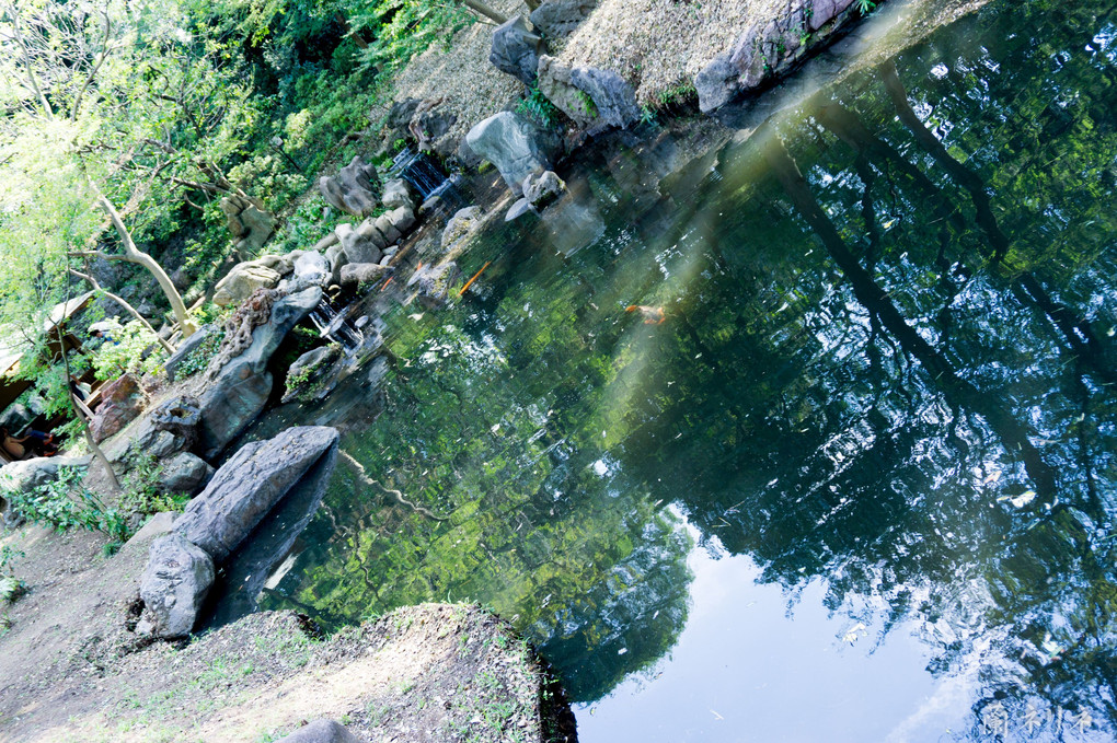 六義園　水の章