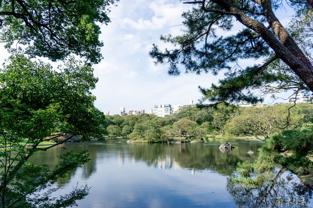 六義園　水の章