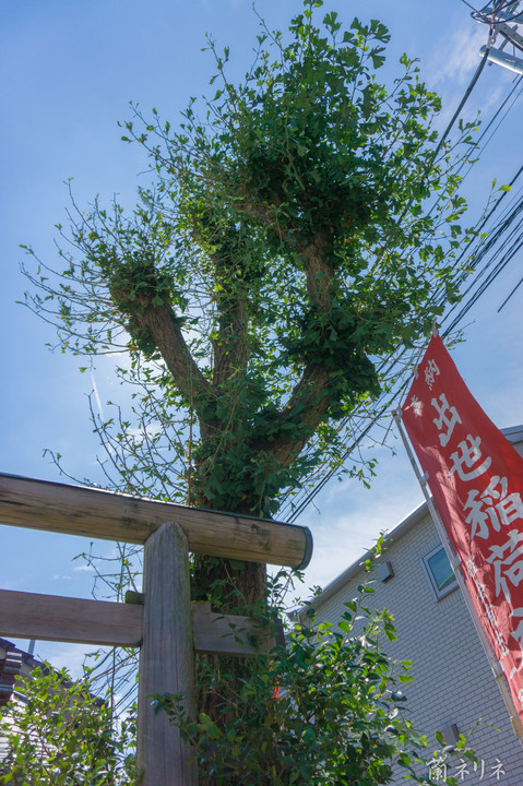 出世稲荷神社