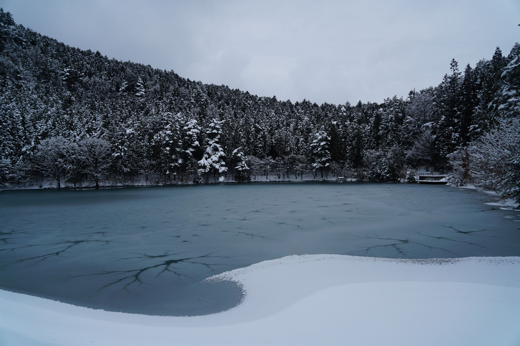 南伊奈ヶ湖に雪！