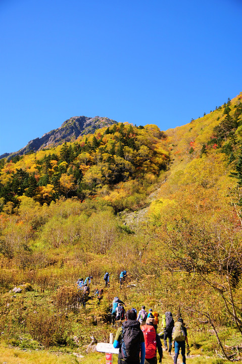 登山解禁！