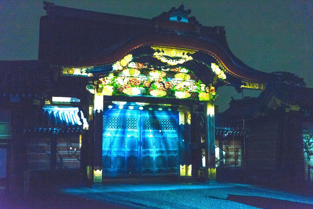 二条城ライトアップ〜桜祭り〜