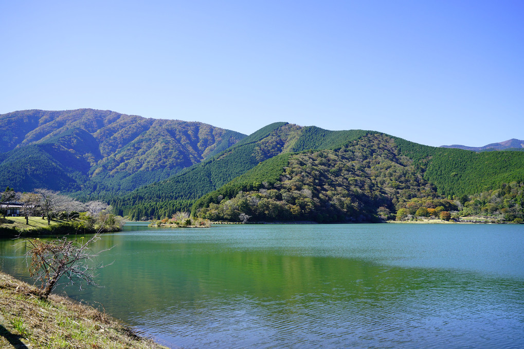 田貫湖付近の景色