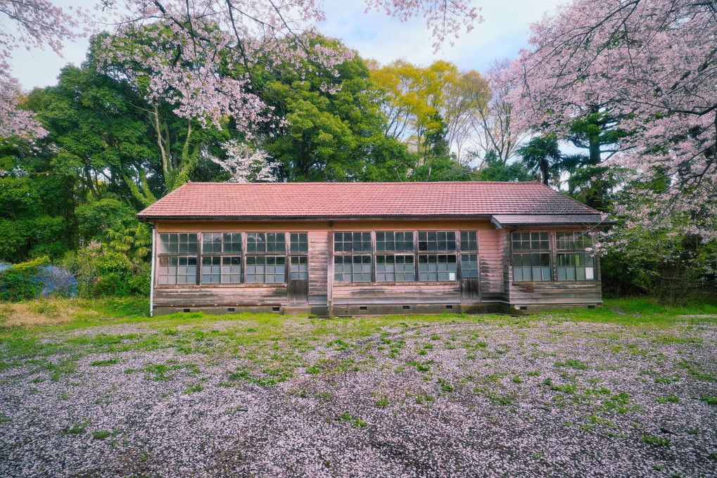 零れ桜の風景 2023～廃校を訪れて