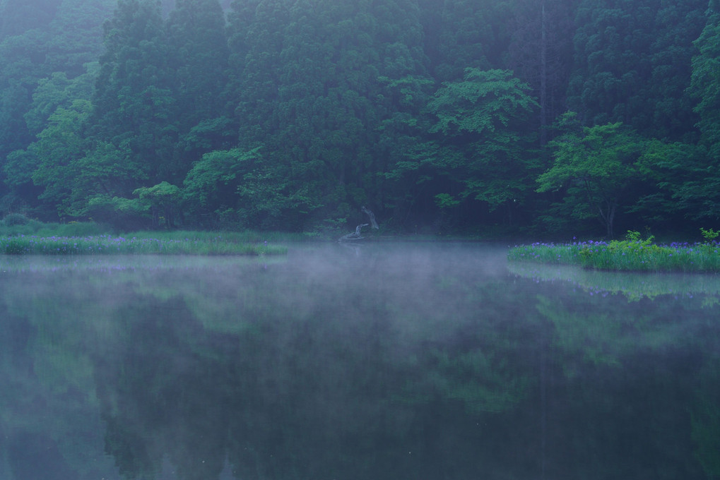 時の流れ。。。