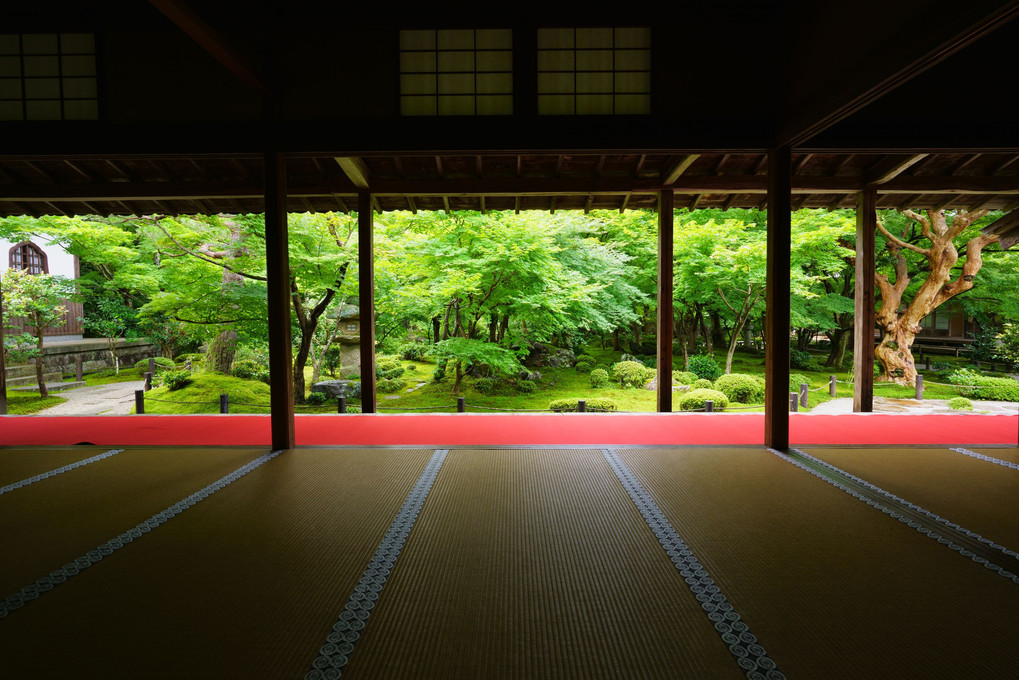 苔めぐり。(京都)