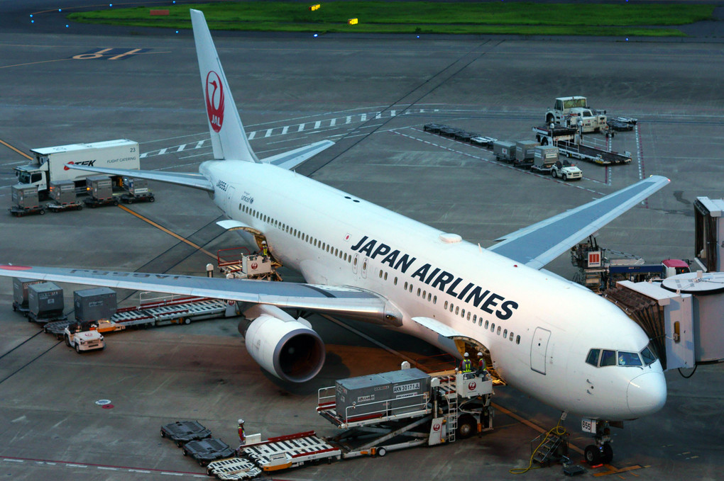Boeing 767-346/ER, Japan Airlines