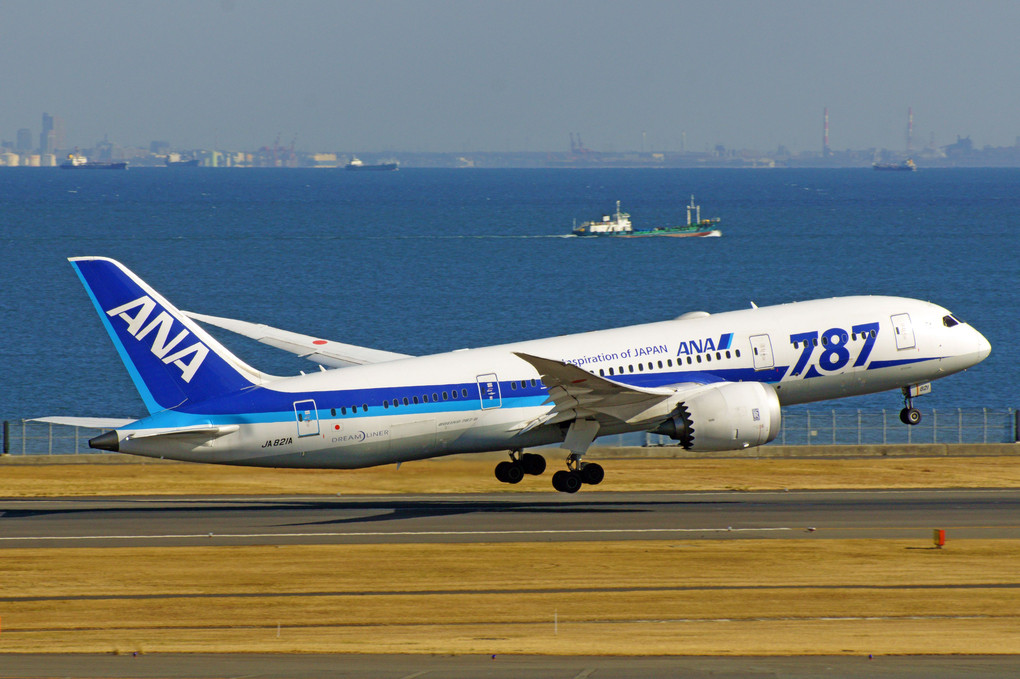 Boeing 787-881, All Nippon Airways