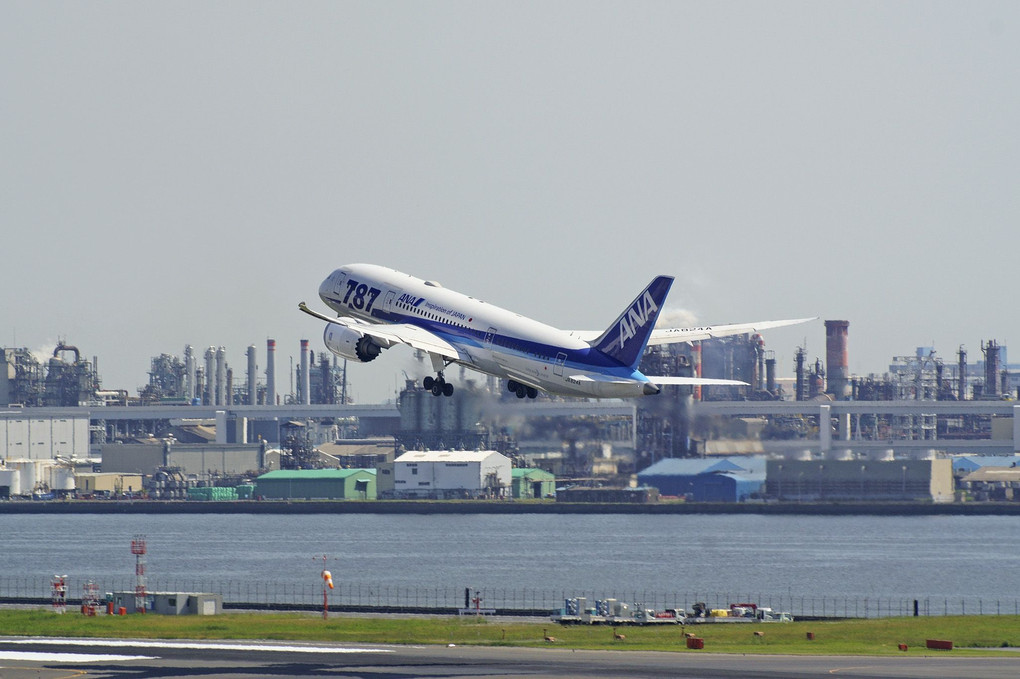 Boeing 787-8, All Nippon Airways