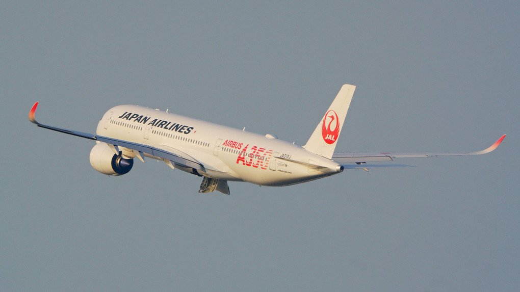 訓練中のJAL A350 1号機