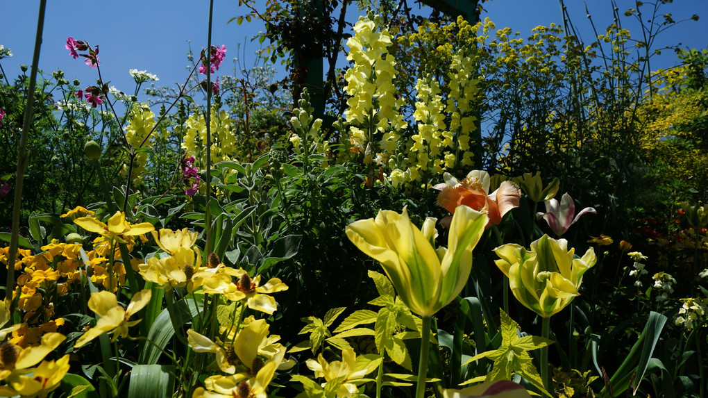 浜名湖ガーデンパーク　花美の庭