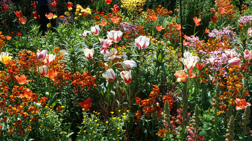 浜名湖ガーデンパーク　花美の庭