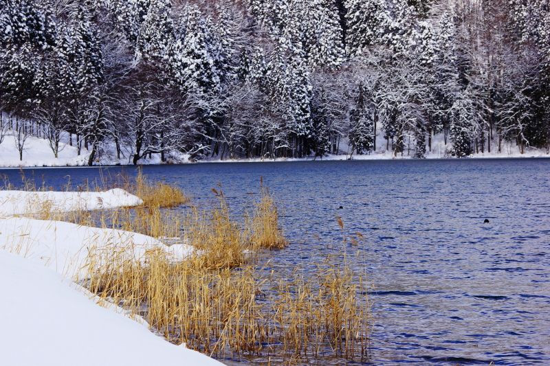 「中綱湖冬景」