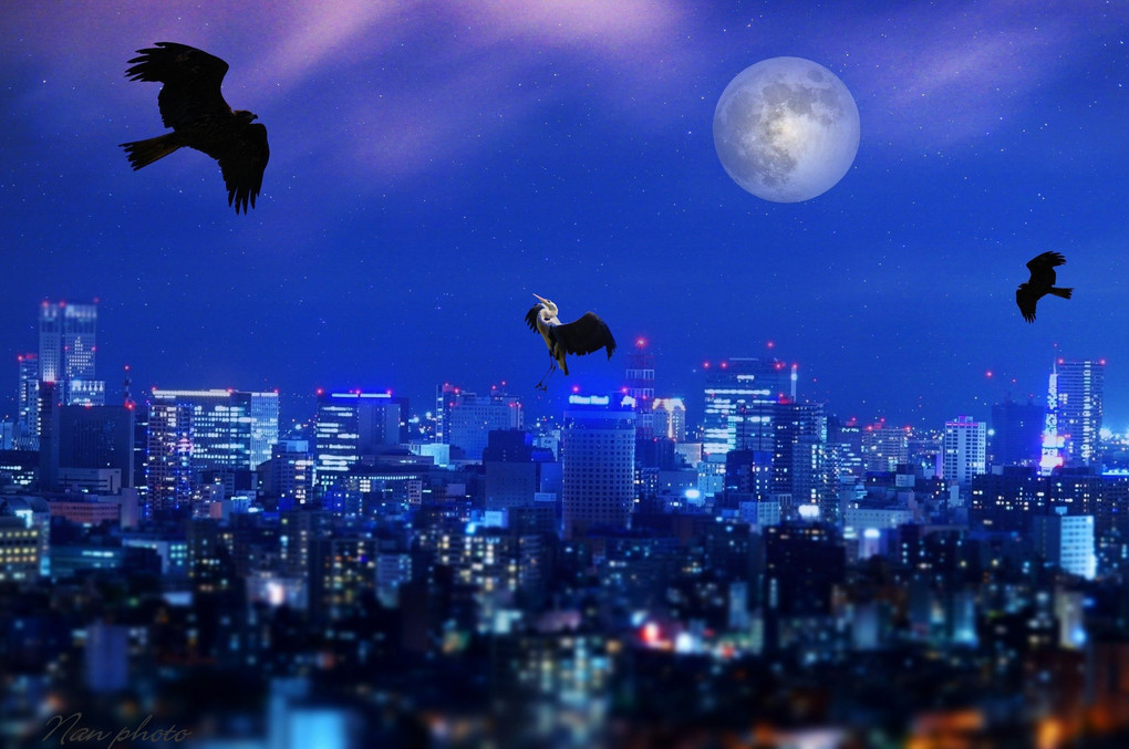 満月の夜・・・ハロウィ～ン