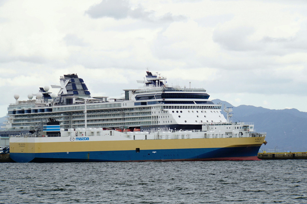 大型客船と自動車運搬船