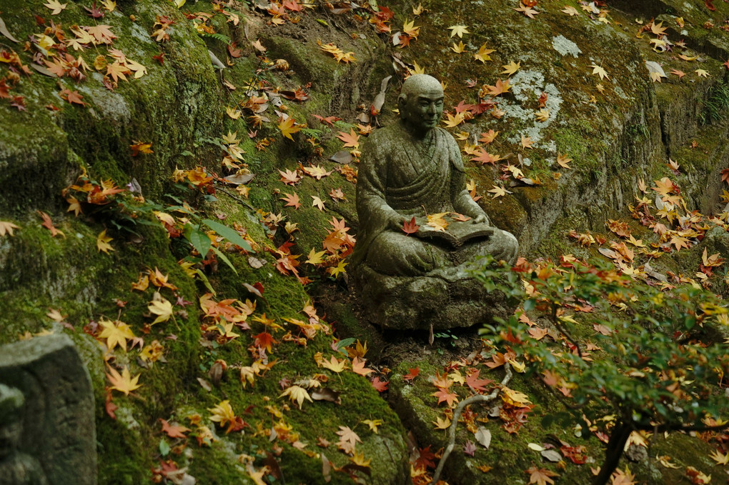 お寺の秋