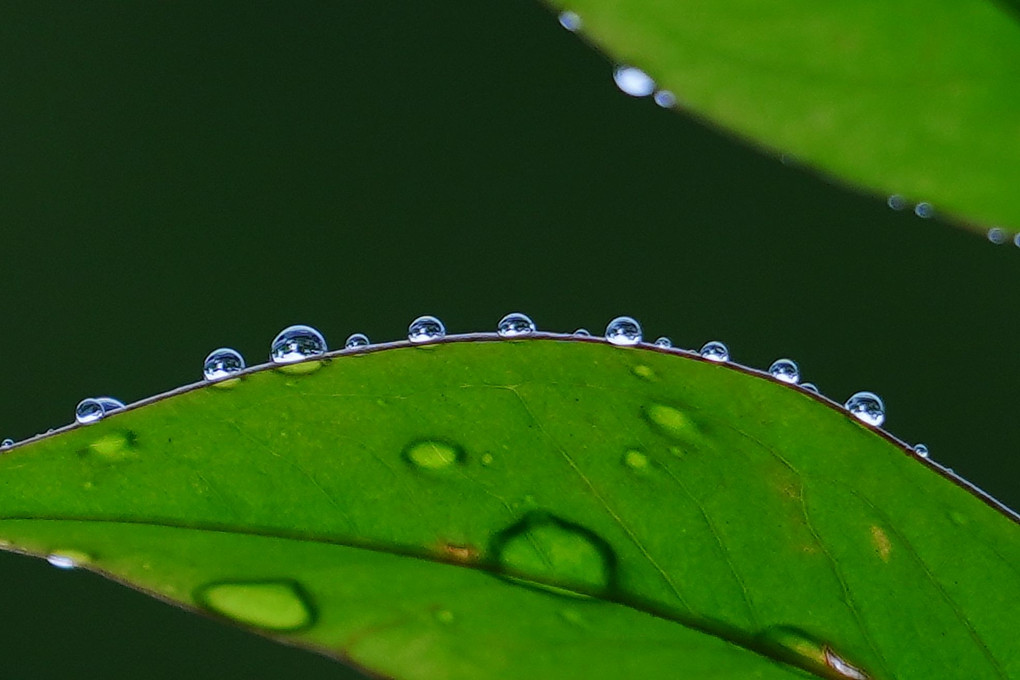 #雨滴☯#