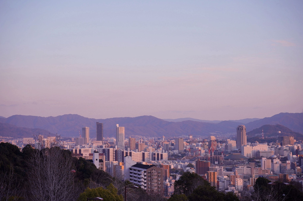 市街地の夕暮れ🌆