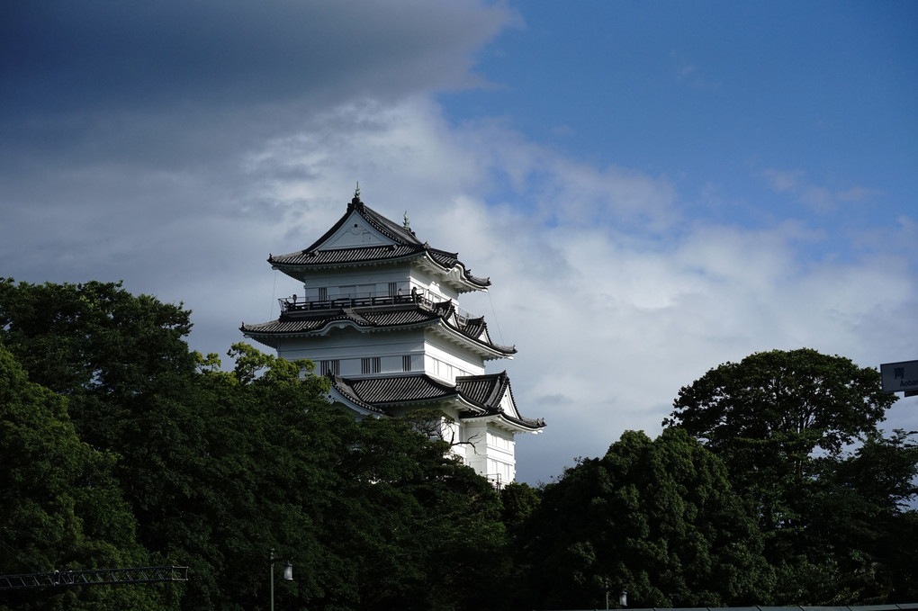 明月院から小田原城へ