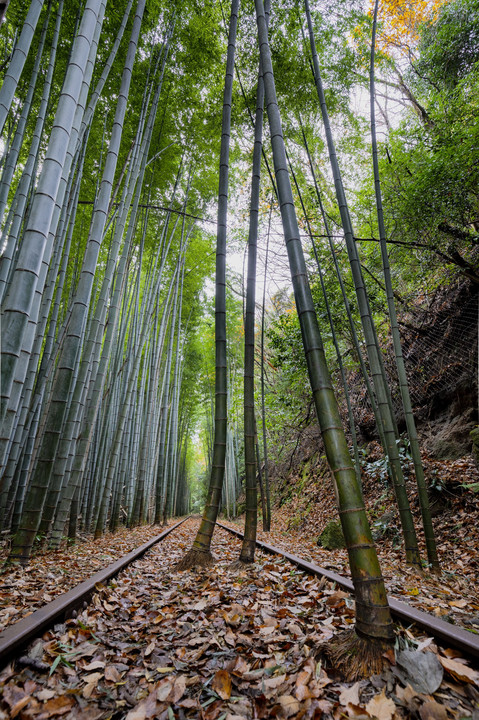 廃線に生きる