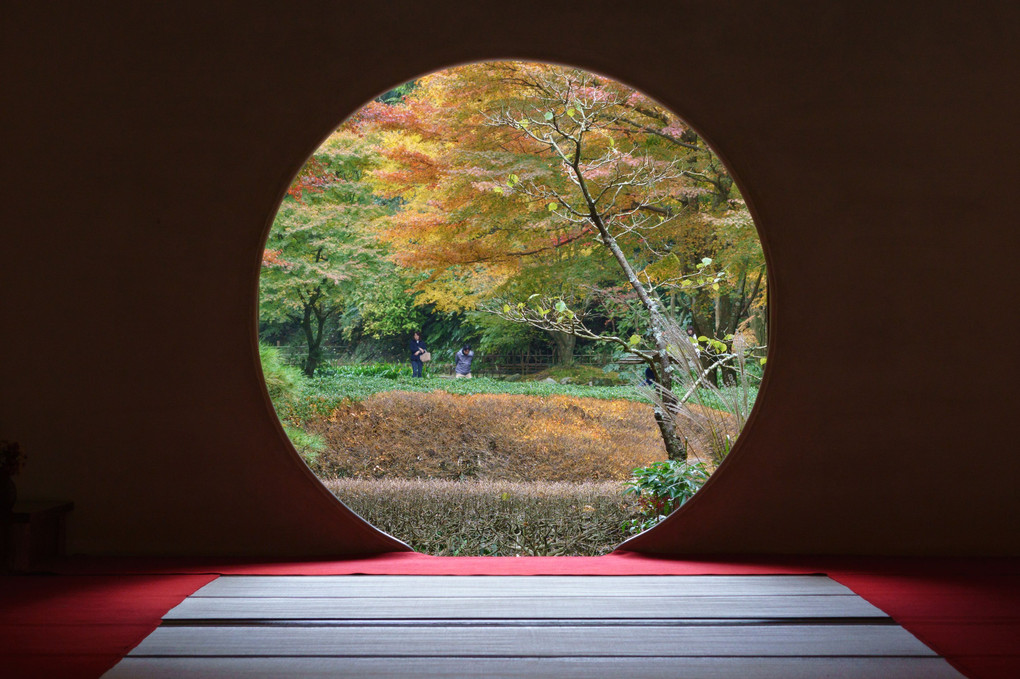 鎌倉 明月院 悟りの窓